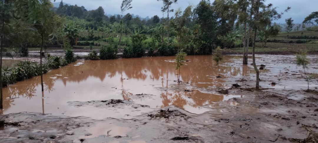 Sud-Kivu : Célébration de la Journée mondiale des zones humides