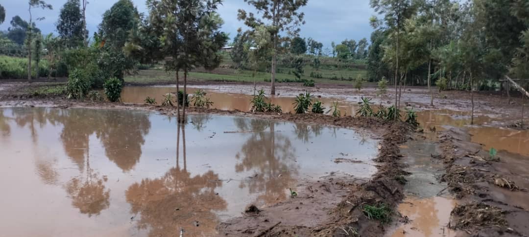 Fizi : Plus de 700 maisons inondées par les eaux du lac Tanganyika