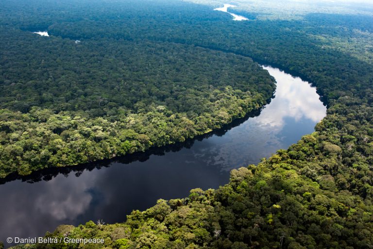 2021Oct12-Monboyo-River-and-Peatland-Forest-in-DRC-1