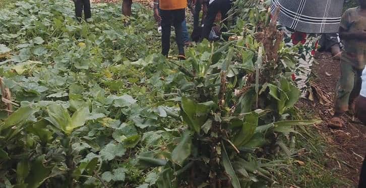 a14590c4-7b46-4e24-aa94-9679eab4c63f