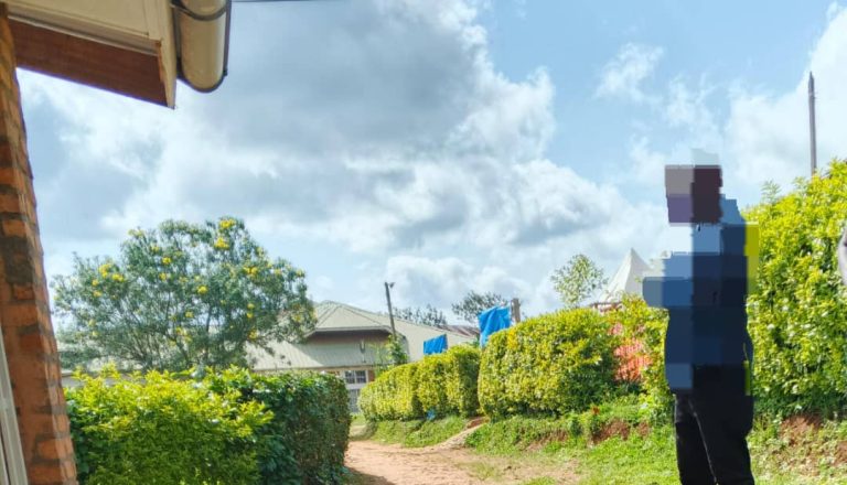 b934e343-a76c-4629-b352-5f35e4622ffe