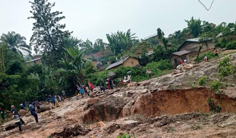 91e7ff33-0435-49ea-910a-b3ac801e5c5d