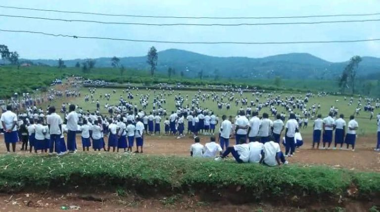 d2f2c6fc-8d45-4334-a48c-011953c95630